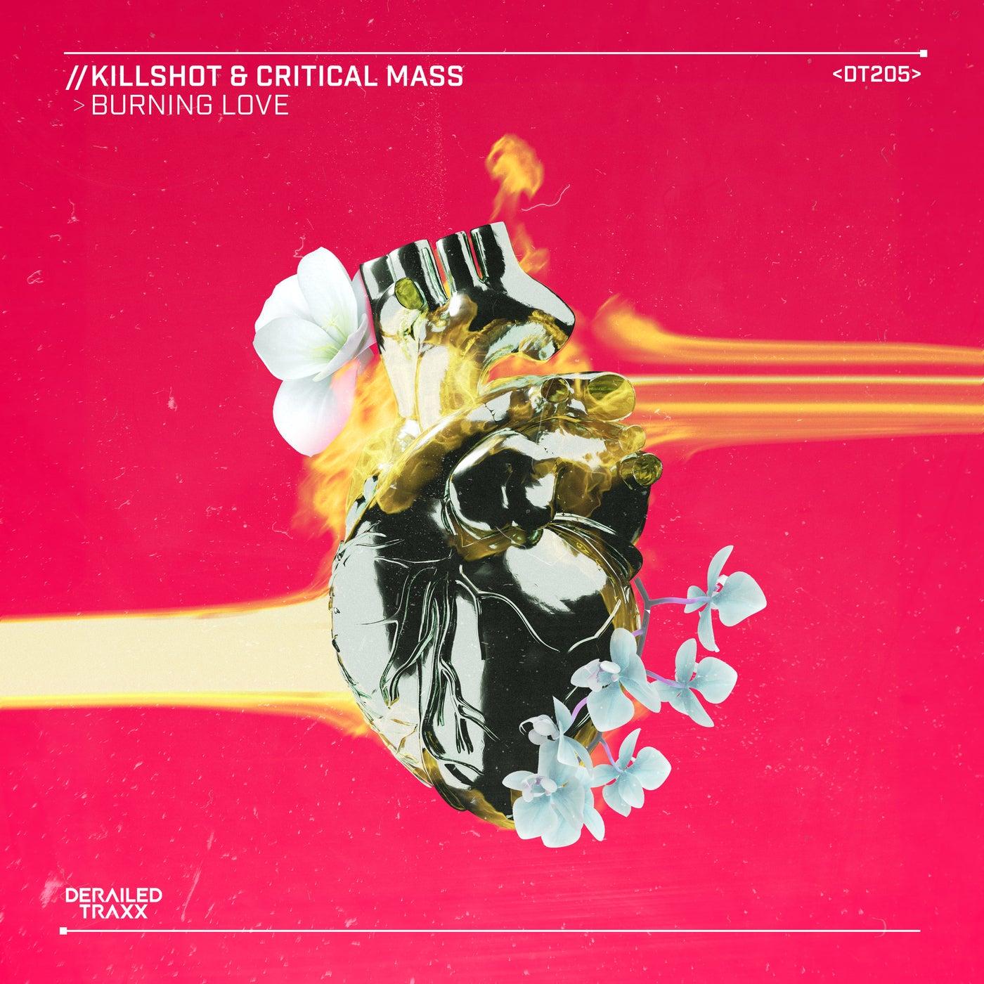 Critical Mass Music & Downloads on Beatport